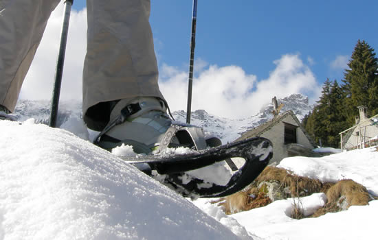 pizzo del frate marmotta