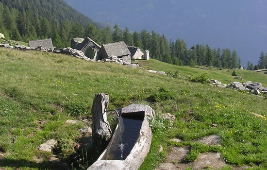 pizzo del frate territorio fontana alpeggio trekking