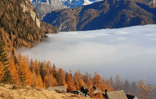 pizzo del frate territorio fontana alpeggio autunno foliage