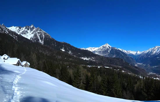 pizzo del frate capriolo